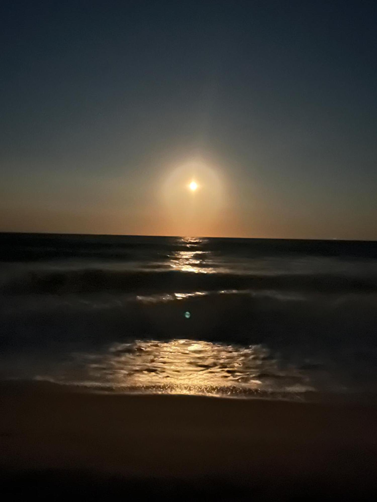 Ocean Dream Vacation Aparthotel Myrtle Beach Buitenkant foto